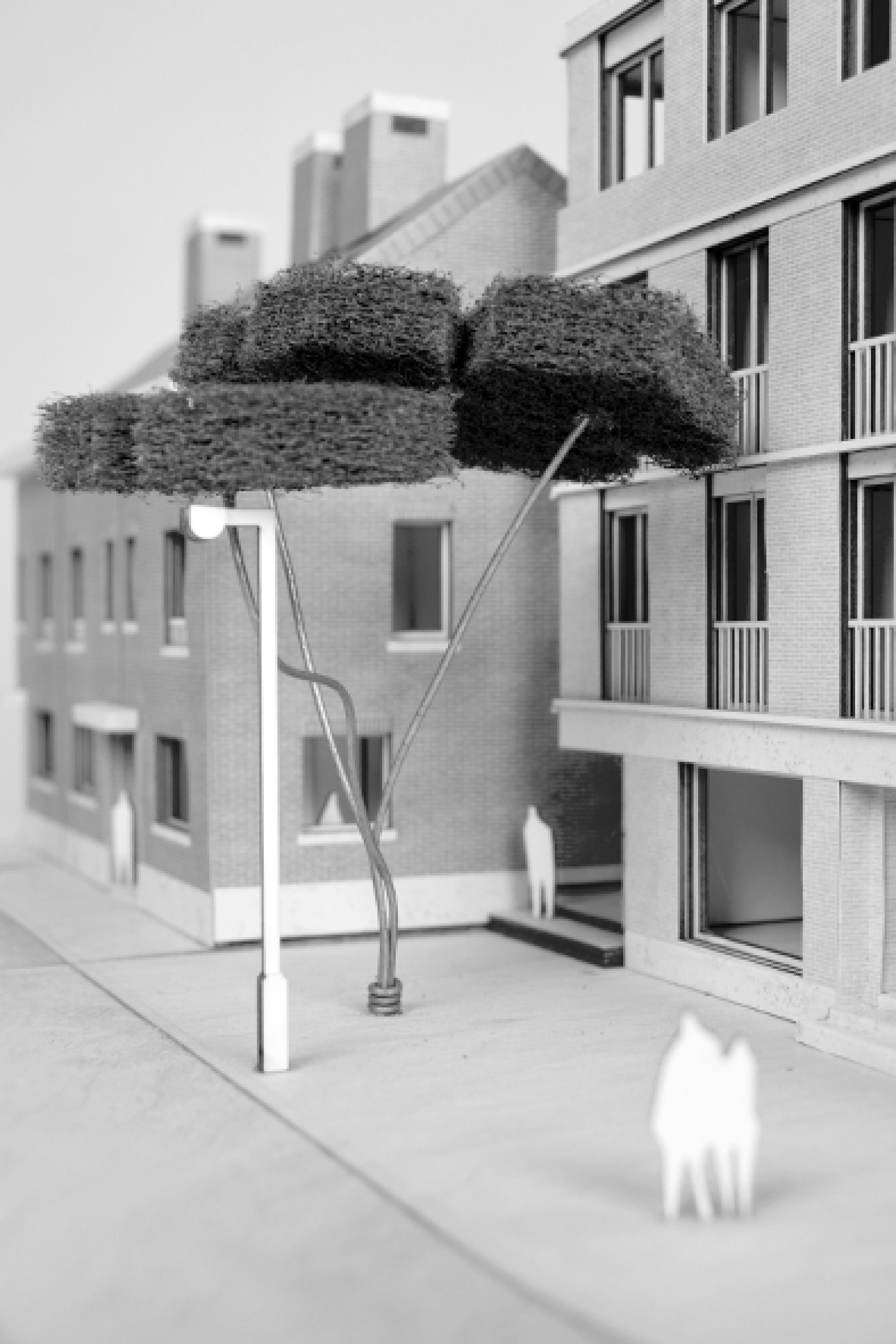 DTP16.600 S-221014 maquette foto zwart wit  (394x591)